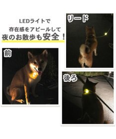 PET PARADISE ディズニー ミッキーマウス ＬＥＤ お散歩ライト