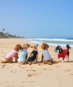 OP／FILA 【Ocean Pacific】アメカジドッグウェア ペットウェア