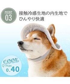 PET PARADISE ペットパラダイス アウトドア クール ハット ＳＭ～Ｍ/Ｌ 中型犬 大型犬
