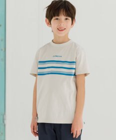 J.PRESS KIDS 【140-170cm】ボーダープリント Ｔシャツ