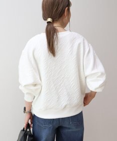 AMERICAN HOLIC ゼブラ柄ジャガードカットプルオーバー