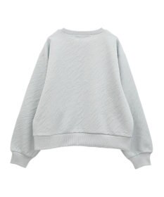 AMERICAN HOLIC ゼブラ柄ジャガードカットプルオーバー