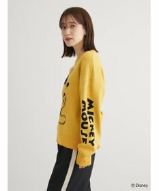 Green Parks Ｄｉｓｎｅｙ／ジャガードニットプルオーバー