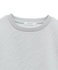 AMERICAN HOLIC ゼブラ柄ジャガードカットプルオーバー