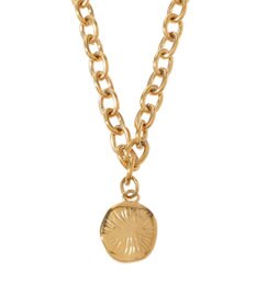 AMERICAN HOLIC 【ステンレス】コイントップチェーンネックレス