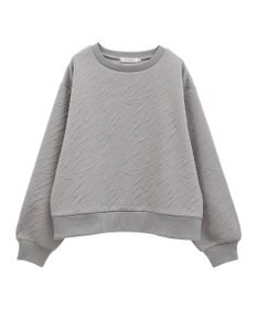 AMERICAN HOLIC ゼブラ柄ジャガードカットプルオーバー