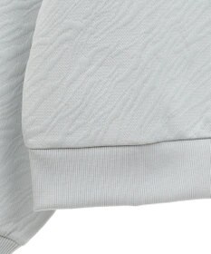 AMERICAN HOLIC ゼブラ柄ジャガードカットプルオーバー