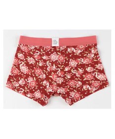 une nana cool 2025年お年賀「幸運の巳」　メンズボクサーパンツ