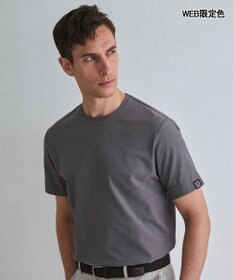 GOTAIRIKU キングサイズ登場【サラサラ/高通気】仕事で着られる 鹿の子 BIZ Tシャツ ダークブラウン/WEB限定/26年新色