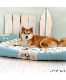 PET PARADISE スヌーピー クールカドラー 《アイス柄》 角型 LL