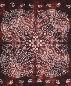 WEGO アソートバンダナ