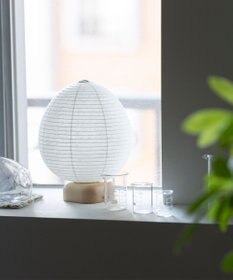 ちょうちん堂 【cocolan Muji】ダチョウ ちょうちん ライト