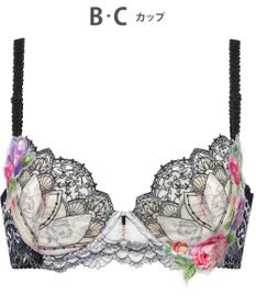 Wing ブラジャー Wing Lesiage ふっくら、まる胸メイク 背中すっきり 【2910シリーズ】 ブラ PB2910 ウイング／ワコール