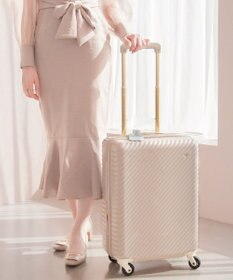 ACE BAGS & LUGGAGE 【雑誌掲載】 HaNT×Jewelna Rose コラボ スーツケース 機内持ち込み 06821 ハント ジュエルナローズ