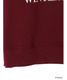 Green Parks Ｄｉｓｎｅｙ／裏起毛フロッキープリントスウェットII