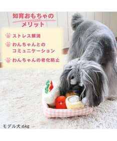 PET PARADISE ペットパラダイス 洋風お弁当 ノーズトイ 《 サンドイッチ》