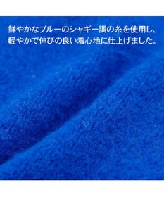 PET PARADISE J.PRESS シャギー風ニット 《ブルー》 小型犬