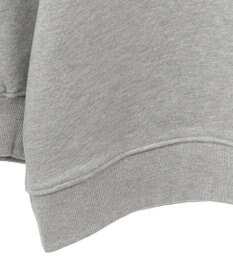 AMERICAN HOLIC ＢＲＵＮＳＷＩＣＫ　ＧＥＯＲＧＩＡ　ＢＩＧスウェット