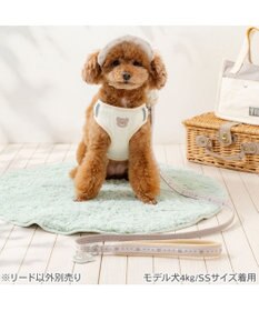 PET PARADISE ペットパラダイス くまちゃん チャームリード ＳＳ～Ｓ