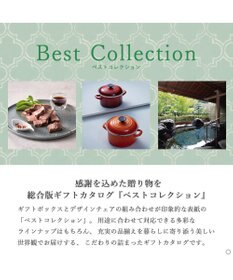antina gift studio ベストコレクション ＜Chamomile-(カモマイル)＞
