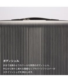 ACE BAGS & LUGGAGE Proteca トラクション2 スーツケース 68L 01493 プロテカ 日本製
