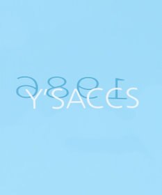 Y'SACCS パラコード編み込みトート
