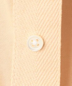 J.PRESS MEN 【IVY COLLECTION】【毎シーズン大好評】バックブル オックスガーメントダイ シャツ