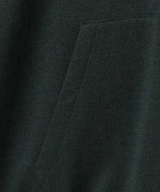 WEGO ワッペンロゴジップパーカー