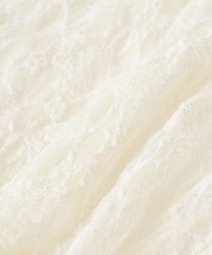 Green Parks ２ＷＡＹパネル切り替えレースフレアスカート