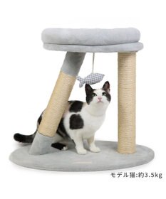 猫 キャットタワー 55cm スリム / PET PARADISE | ファッション通販