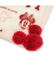 PET PARADISE ディズニー ミッキーマウス 遠赤外線 ボア マット 《ニット柄》
