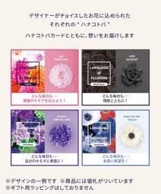 WACOAL MEN ボクサーパンツ 【ハナコトバパンツ】 フロント快適設計 肌あたり軽減設計 誕生日 記念日 前閉じ 下着 メンズ GT3221 /ブロス バイ ワコールメン