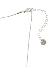 AMERICAN HOLIC ステンレス　シンプルスネークチェーンネックレス