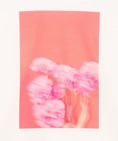 BEIGE， 【洗える・クロワッサン 掲載】PENTAS / オリジナルフォトプリントＴシャツ