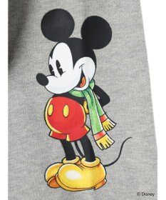 Green Parks Ｄｉｓｎｅｙ／裏毛ハーフＺＩＰスウェットII