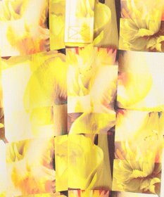 23区GOLF 【WOMEN】プランティカプリント 総柄 半袖ポロシャツ