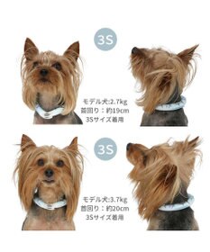 PET PARADISE ペットパラダイス ２８℃ クールリング ３Ｓ 《サメ柄》
