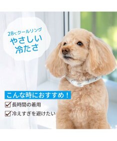 PET PARADISE ペットパラダイス ２８℃ クールリング ３Ｓ 《サメ柄》