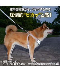 PET PARADISE ペットパラダイス 超反射 切り替え ハーネス＆リード Ｌ 《ブルーグリーン》