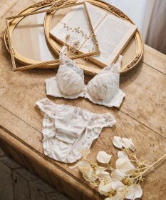 San-ai Resort（三愛水着楽園） エレガントコレクション【2409】単品ブラEFGカップ 【northerly】