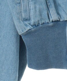 Green Parks ｄａｚｚｌｉｎ　襟付きデニムショートｚｉｐブルゾ