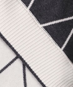 ICB L 【先行予約・洗える】ソフトカシミヤミックス ダイヤ柄ハイネックニット