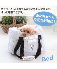 PET PARADISE スヌーピー ドライブ キャリーバッグ 【小型犬】