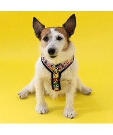 PET PARADISE スヌーピー 75周年 アクティブ ハーネス 小型犬 ３S