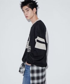 WEGO 【ユニセックス着用ITEM】ジャガードスリーブラインプルオーバー