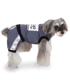 PET PARADISE Lee ボックスロゴ ロンパース 小型犬