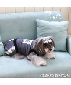 PET PARADISE Lee ボックスロゴ ロンパース 小型犬