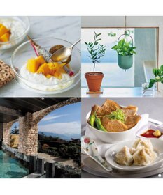 antina gift studio ベストコレクション ＜Peppermint-(ペパーミント)＞