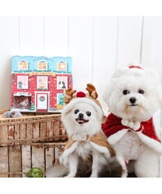 PET PARADISE 2024 クリスマス アドベントカレンダー おやつ 国産