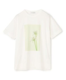 BEIGE， 【洗える・クロワッサン 掲載】PENTAS / オリジナルフォトプリントＴシャツ